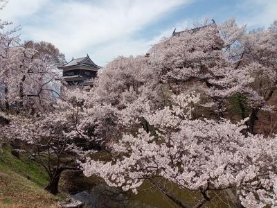 北信越２０２３春旅行記　【２】上田城跡公園２