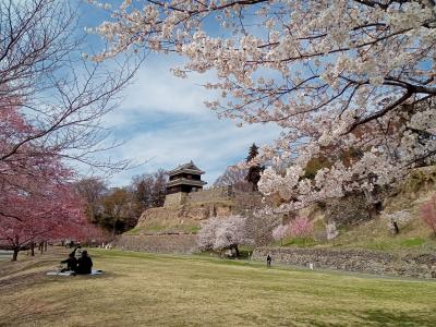 北信越２０２３春旅行記　【３】上田城址公園３