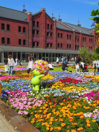 『春は、やっぱり・・横浜　花散歩』（カラフルな花！に会いたくて『横浜』へ　一人旅）。