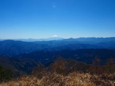 2023年4月　奥多摩（鷹ノ巣山）