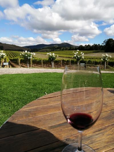 思い出がたくさん詰まったオーストラリアへ再び。新地開拓と旧地を懐かしむ旅♪②～メルボルン編～