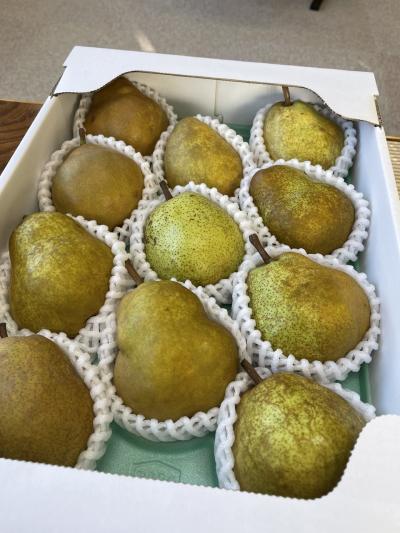 寒河江のいいとこ満載のモニターツアーに参加しました~二日目