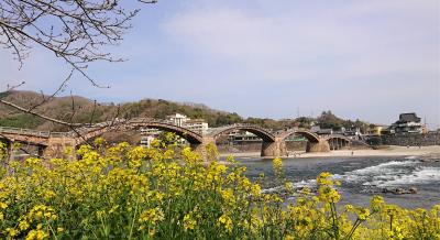 ツアーで行ってきた！萩・津和野・下関・角島・元乃隅神社を巡る3日間 ①錦帯橋＆下関