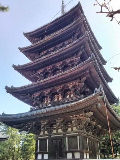 2023年3月孫と二人で関西観光の2日目・前半～興福寺～元興寺～春日大社～！！ o(^-^)o