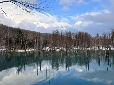 果てしない大空と広い大地のその中で　北海道3泊4日旅　2/3