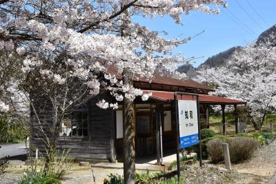 桜の彩る津山線と因美線を訪ねて2021～昭和の面影が残る知和駅～（岡山）