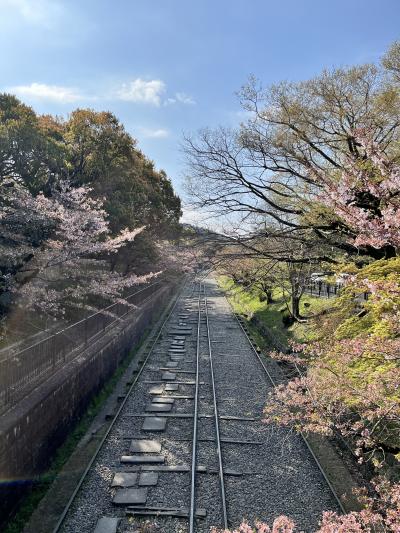 散りかけの京都の桜・南禅寺／ウェスティン京都　③