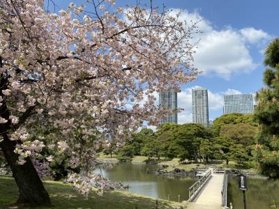 2023年4月　浜離宮恩賜庭園