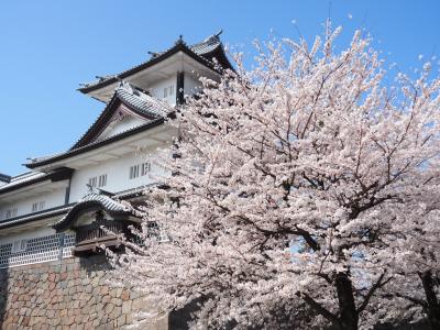 金沢・能登半島2泊3日　グルメと桜に魅了された旅！