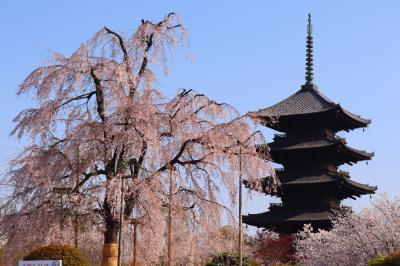 さくら舞い散る古都京都③南禅寺・インクライン・東寺・京都タワー方面