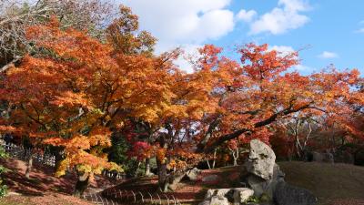 晩秋の「日本３名園」岡山後楽園と宇喜多、池田の城・岡山城