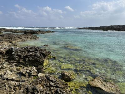 初夏の喜界島へ（１）　レンタサイクルで喜界島を一周