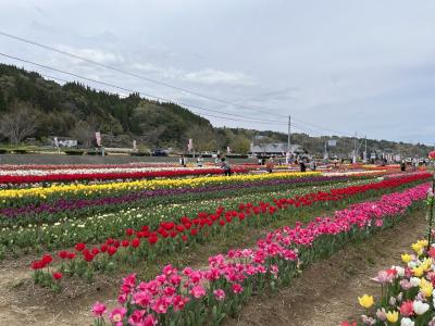 久住高原～阿蘇へドライブ&乗馬旅その②