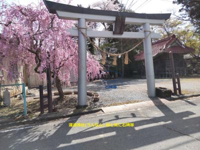 4-奥奥州･盛岡道 古川宿～宮野宿(4/9 22km)