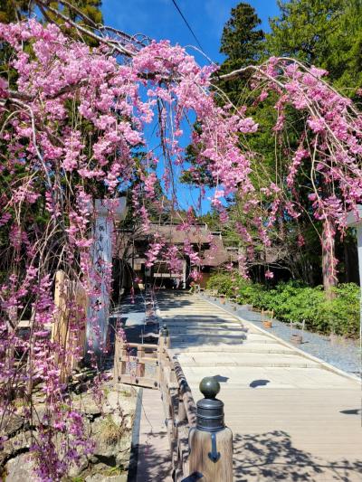 高野山 奥の院へ: 高梁川日記