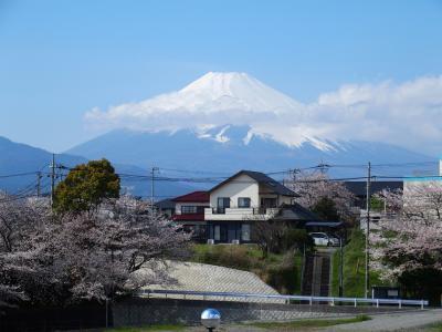 ステップトラベル日帰り駿河の旅2023