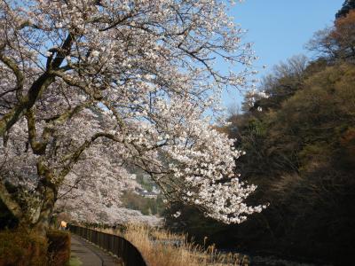 2023 春の箱根ドライブ