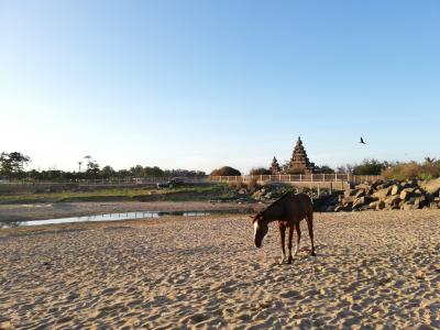 【インド】世界遺産マハーバリプラムの建造物群のひとつ　寺院と神社の複合体であるショアテンプル