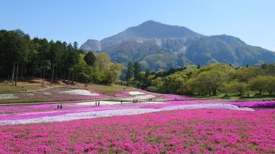 2023年4月　秩父旅行♪少し早めに芝桜を満喫♪またまたいちごとねこと温泉の旅♪