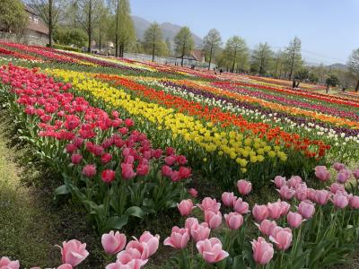 滋賀八日市ときめき旅行！…ブルーメの丘は絵本の世界…ひとり旅編！