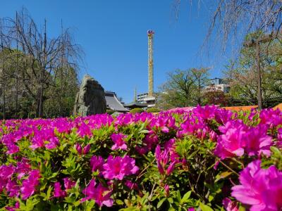 2023年4月 浅草花やしきへ2歳児と行ってきた