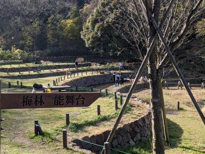 自然の景観を生かしたとても広い公園です。のんびりとピクニックや自然散策が楽しめます。