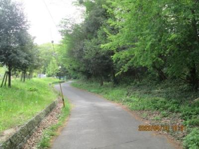 柏市の篠籠田・上野牧野馬土手・大堀川防災公園