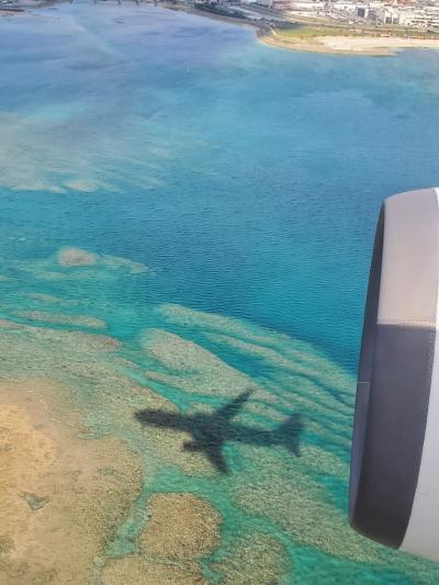 プロジェクトJ☆彡飛行機三昧な沖縄