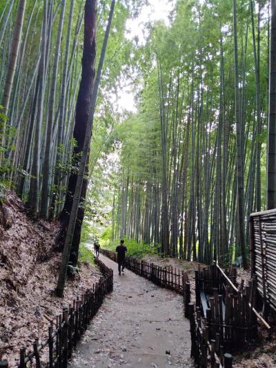 武家屋敷　自転車で登城したい　千葉県歴史散歩　佐倉　②