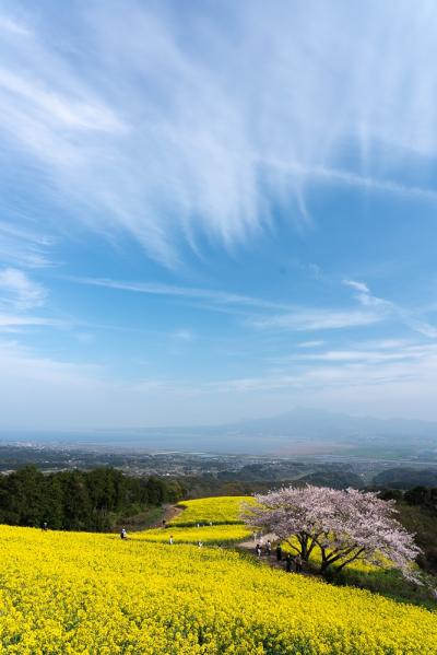 2023.03 春の長崎　九十九島の夕陽と　白木峰高原の桜