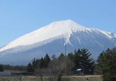 盛岡満喫の旅～東北にも春が来たよ①～