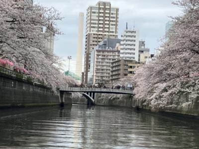 旅行支援クーポン利用で東京観光、ディズニー、東京ジョイポリスの旅１日目