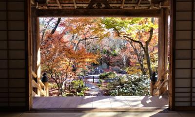 嵯峨野　宝筐院の見事な紅葉　京都遅めの紅葉で混雑回避３　