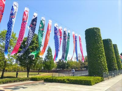 新しくなったノリタケの森にやっと行ってきた♪思った以上にステキな場所で満足満足