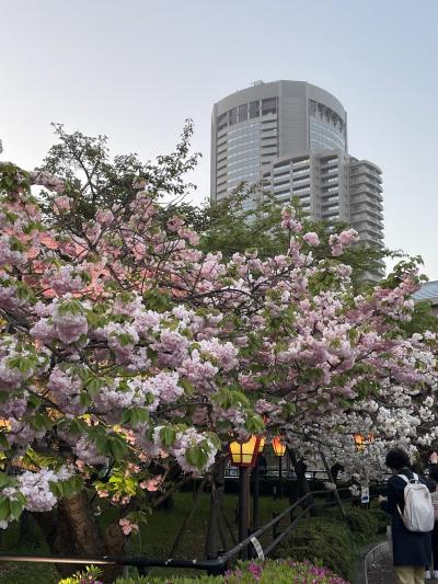 2023年4月　桜めぐり・造幣局桜の通り抜け