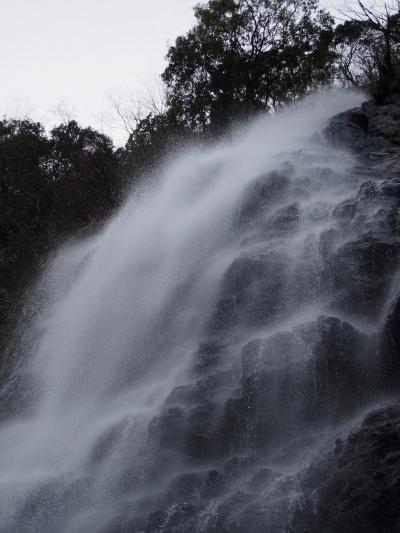 滝メグラーが行く２６５　久しぶりの天滝