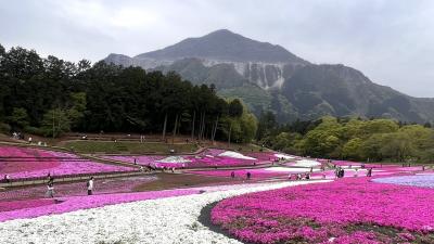 羊山公園、長瀞岩畳へドライブ