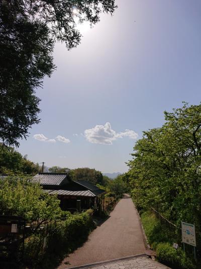 奈良の山の辺の道 石上神宮から大神神社までを歩いてきました