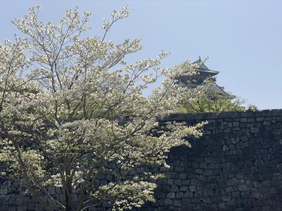 有馬温泉　北野異人館　大阪城　