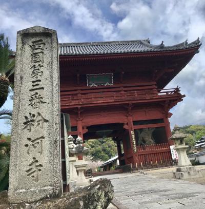 2023桜とお城を巡る旅（6） 粉河寺