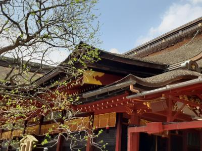 福岡空港から2 大宰府天満宮とソラリア西鉄ホテル