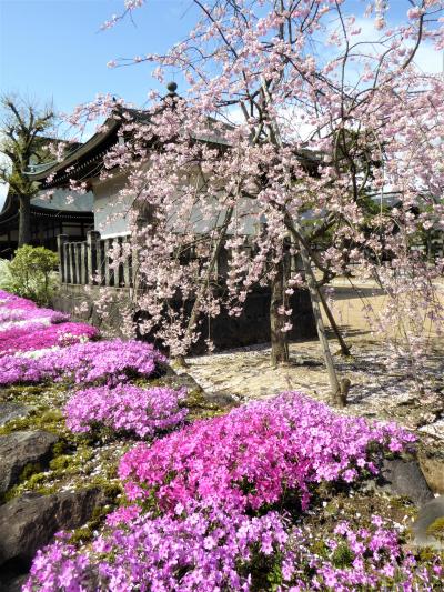 高山祭の翌日に飛騨へ列車旅 ①・・(飛騨古川編）