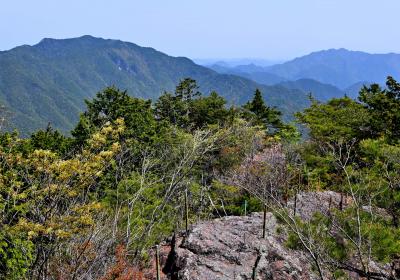 鳳来寺山、瑠璃山（６９５ｍ）