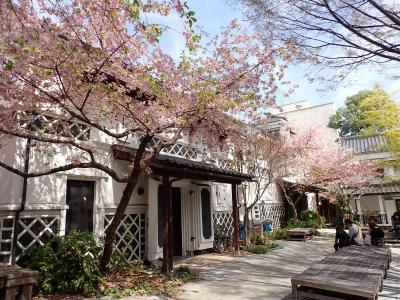 長野市　善光寺から長野美術館へ行きました。