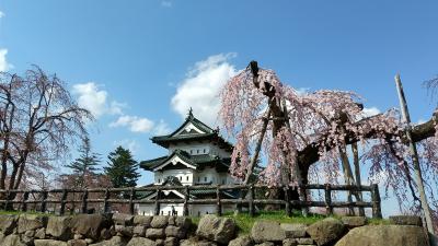 桜の開花を追って弘前へ