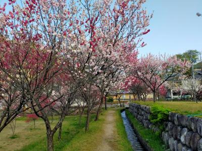 多治見でレンタカーを借りて、中山道～昼神温泉巡り 2日目