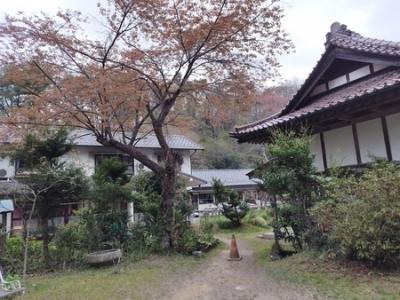 駆け込みセーフ！　お花見＆温泉　誕生日旅行　福島いわき　吉野谷鉱泉～茨城つくば