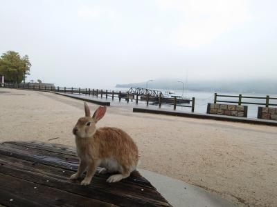 お城とウサギと街並みと　4月の岡山・広島・兵庫　2泊3日旅行（2日目:大久野島編）