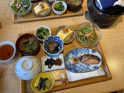 散りゆく桜の京都を歩く★「旬菜いまり」で朝ご飯・下鴨神社・本満寺・本田味噌本店・ビストロサンジュ