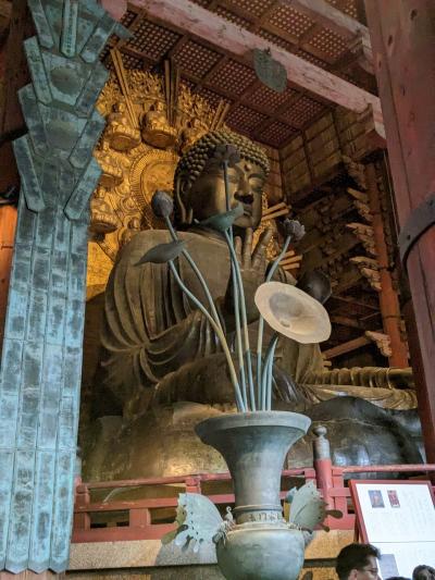 2023春 ④ 【奈良】雨の寺院巡り